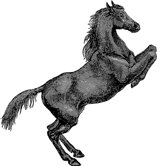 爱游戏平台